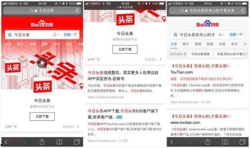 广州头条新增数据库,聚焦城市脉搏，解码广州新动态