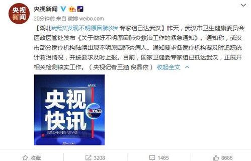 不明肺炎头条,最新动态与防控措施解析