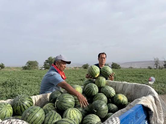 吃瓜唐十八岛上后续,揭秘神秘岛屿的奇幻之旅