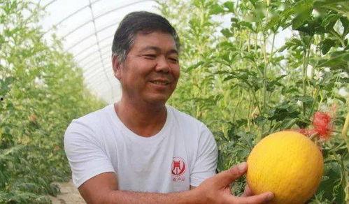 张老师瓜圆管,创新科技引领未来管道革命