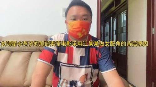 明星江什么燕,跨界人生，光影交织的璀璨星途