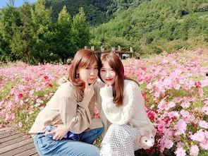 网红台湾小清新图片,捕捉青春记忆的美丽瞬间