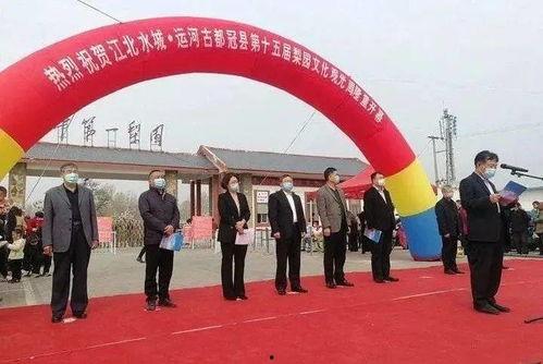 山东冠县梨花屯新闻头条,梨花盛开下的乡村振兴新篇章