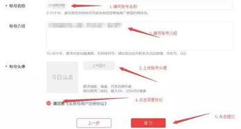头条视频收益教程怎么样,轻松掌握短视频赚钱技巧