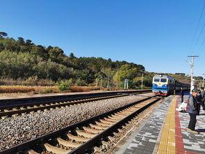 山东网红慢车排行