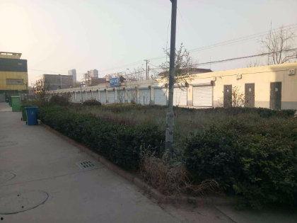 金台新城吃瓜,吃瓜群众的欢乐盛宴