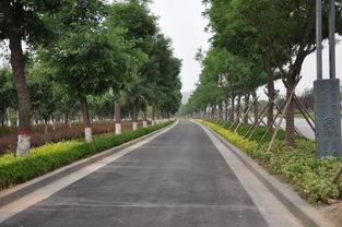 秦汉新城网红拍照地点,光影交织的古城魅力之旅