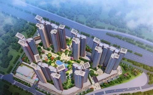 大亚湾最新今日头条新闻,聚焦今日头条热点事件