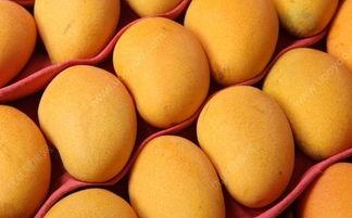 网红芒果怎么催熟的