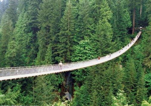 安徽网红钢构吊桥造价,造价揭秘与工程亮点