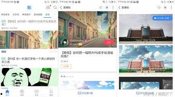 头条视频评论回复的话语,揭秘网友评论背后的真实心声