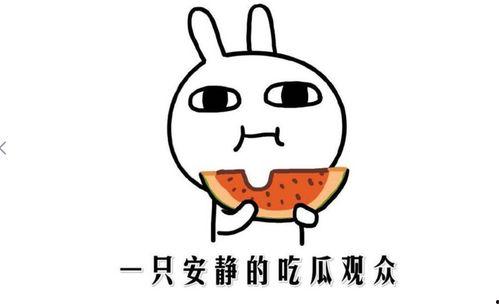 吃瓜视频语录怎么写,揭秘娱乐圈幕后真相