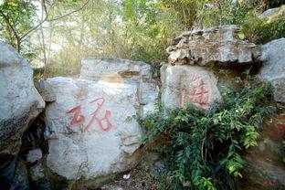 葫芦岛木栈道爆料最新消息,工程进度揭秘，美景即将呈现