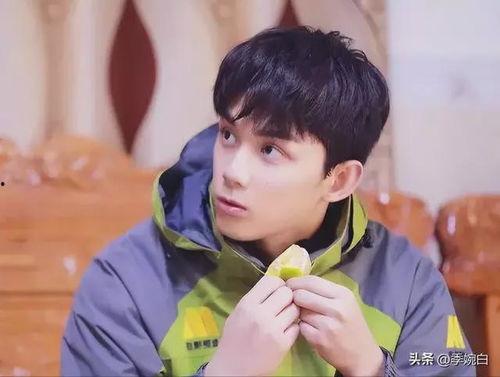 娱乐圈吃瓜吴磊图片大全