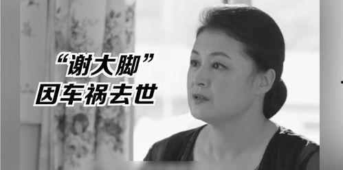 娱乐圈吃瓜群众的日常