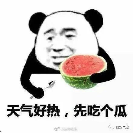 娱乐吃瓜君小团团,娱乐吃瓜界的“瓜王”传奇