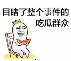 娱乐吃瓜君小团团,娱乐吃瓜界的“瓜王”传奇
