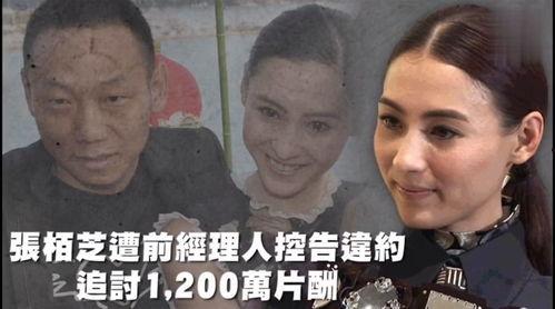 娱乐吃瓜仔呀,吃瓜仔呀带你探秘明星幕后故事
