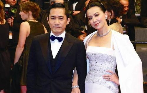 娱乐圈成龙吃瓜视频,娱乐圈幕后风云大揭秘