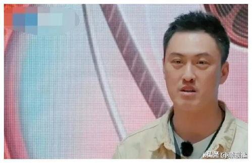 娱乐圈吃瓜解析,揭秘明星幕后真相与情感纠葛
