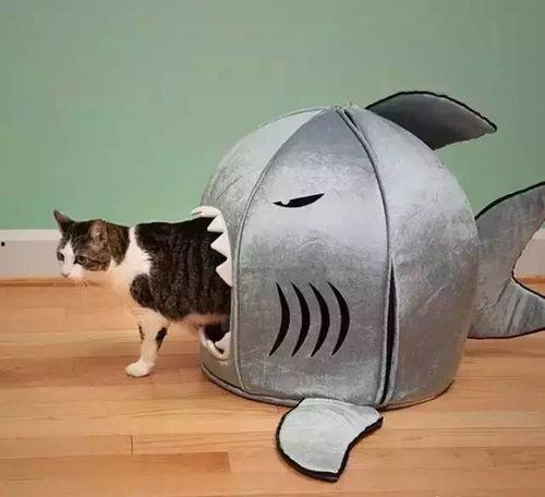 娱乐吃瓜酱改造猫窝